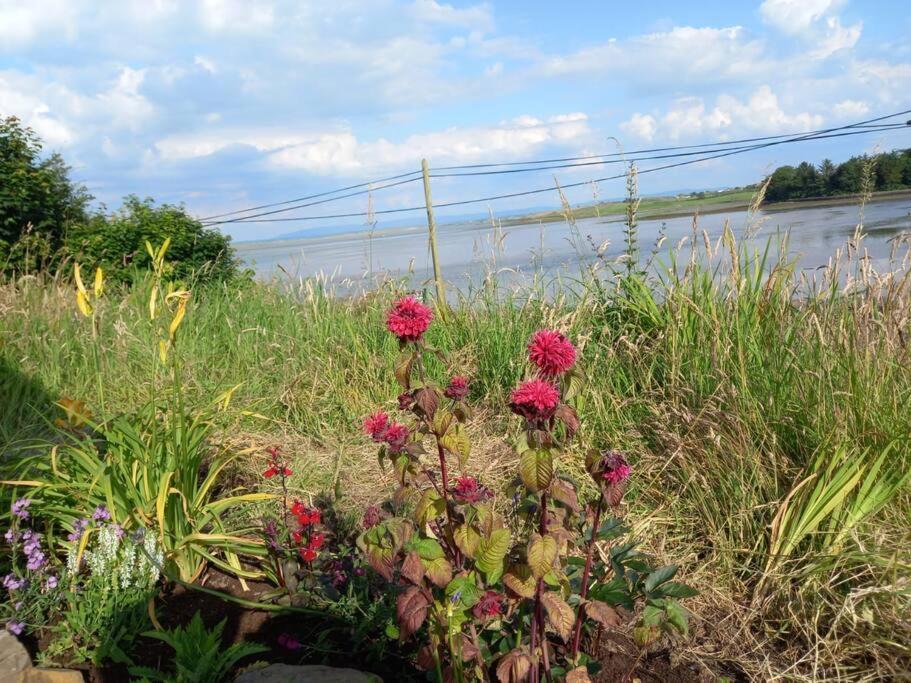 2 Quay Road, Killala. Stunning Sea Front Cottage Exteriér fotografie